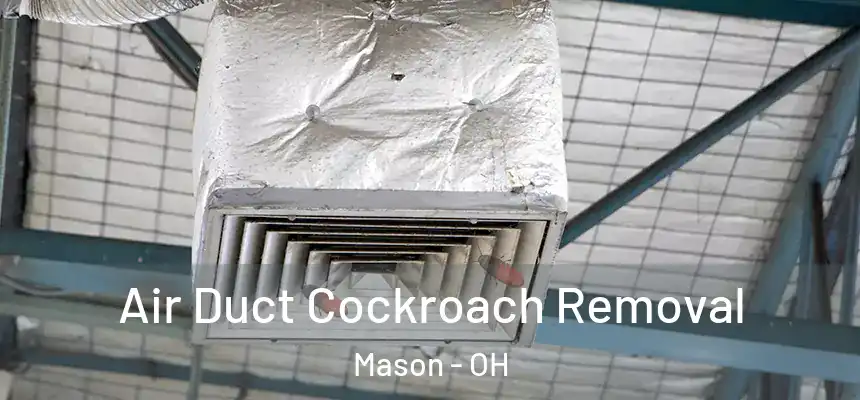  Air Duct Cockroach Removal Mason - OH