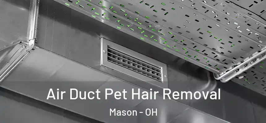 Air Duct Pet Hair Removal Mason - OH