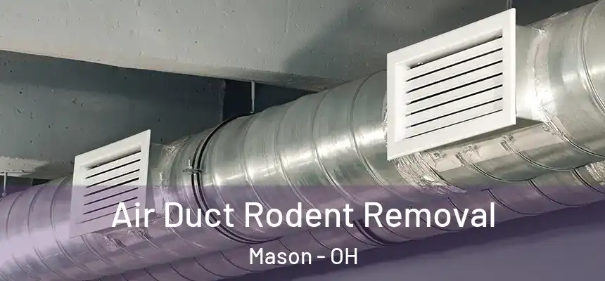  Air Duct Rodent Removal Mason - OH