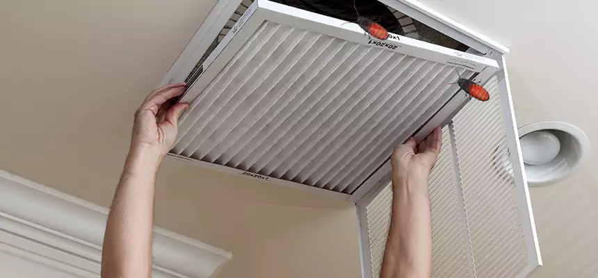 Preventive Cockroach-Proofing for Ducts in Mason