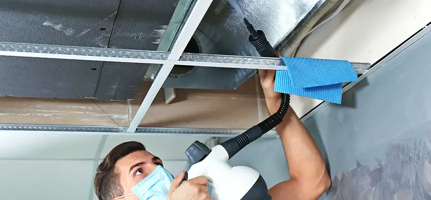 Our Air Duct Rodent Removal Services in Mason, OH