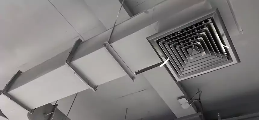 Restorative Allergy Relief Vent Cleaning – Coil, Blower & Housing Detail in Mason