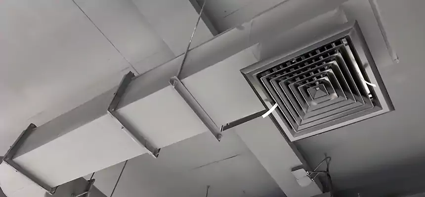 Our Pest Removal From Ducts Services in Mason, OH