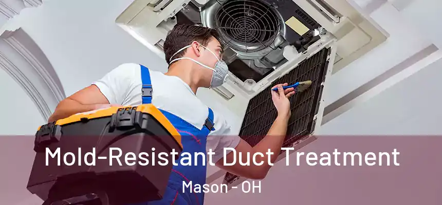  Mold-Resistant Duct Treatment Mason - OH