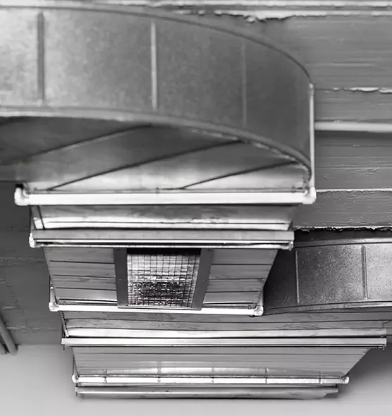 Professional Air Duct Pest Removal in Mason, OH