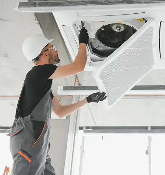 About Air Duct Rodent Removal in Mason, OH