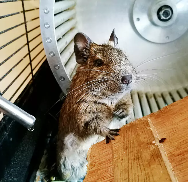 Why Homeowners & Businesses Trust Us Mason, OH?