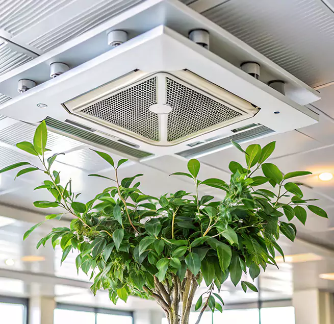 Why Homeowners & Businesses Trust Us in Mason, OH?